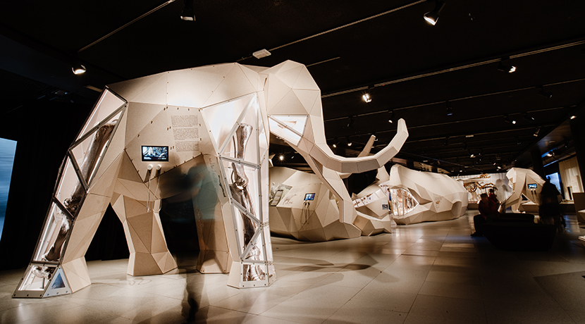 New exhibition Giants comes to Birmingham Museum & Art Gallery