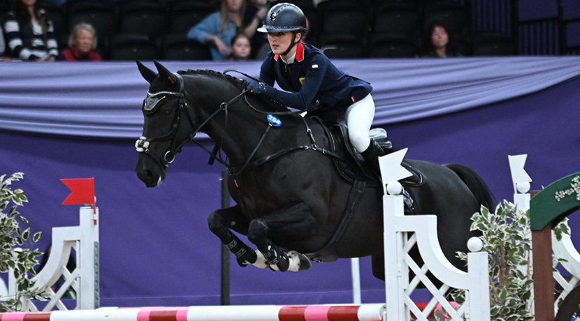 Horse of the Year Show