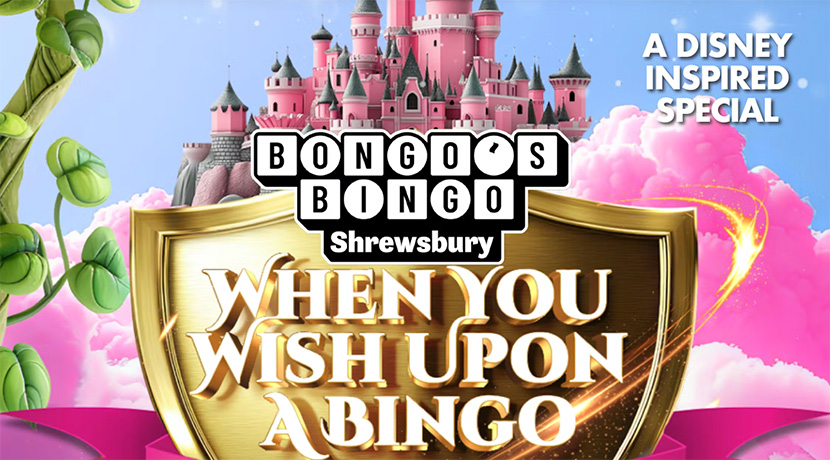 Bongo's Bingo