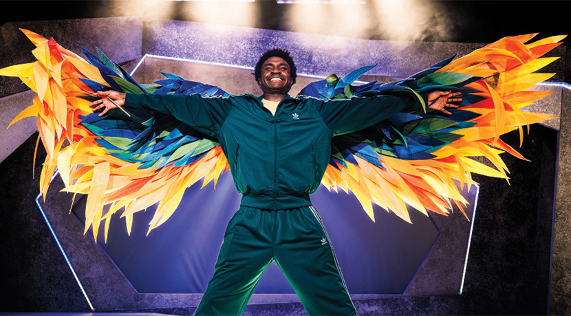 The Boy With Wings