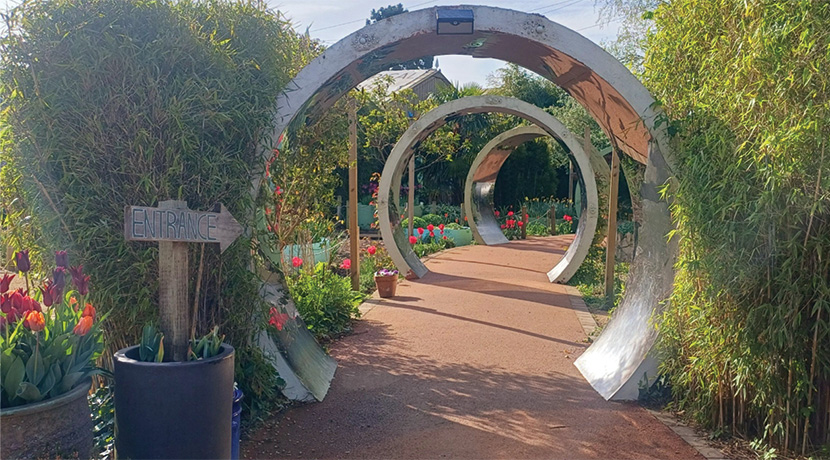 40 Years of Stratford-upon-Avon Butterfly Farm