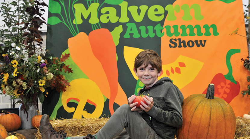 Malvern Autumn Show