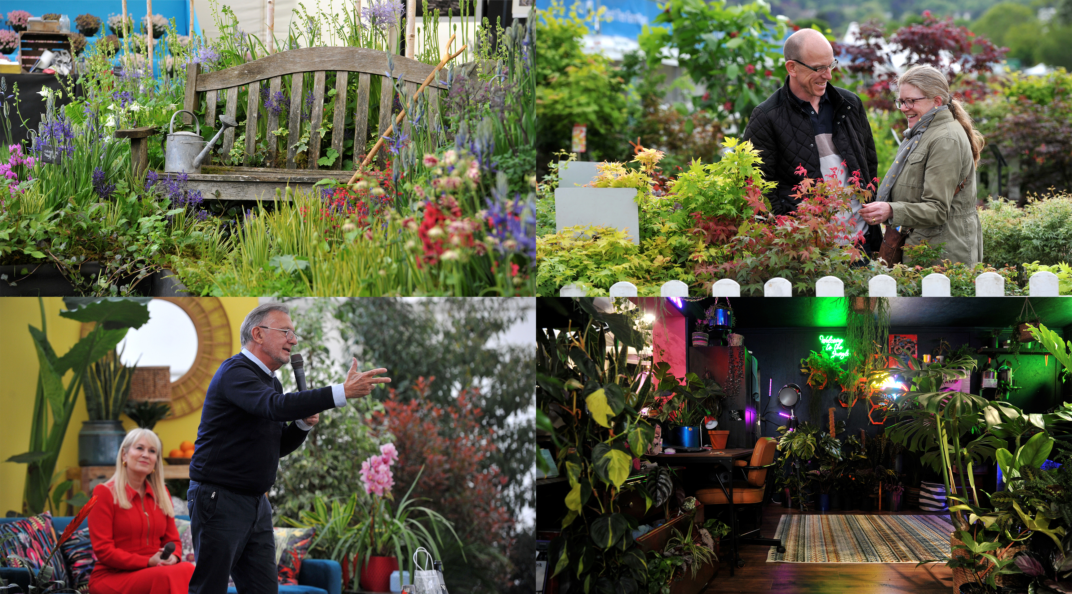 Hot New Rhs First look at new RHS Malvern Spring Festival 2026