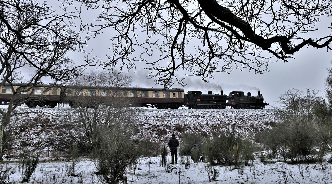 Severn Valley Railway kicks off 2026 with a winter celebration of steam