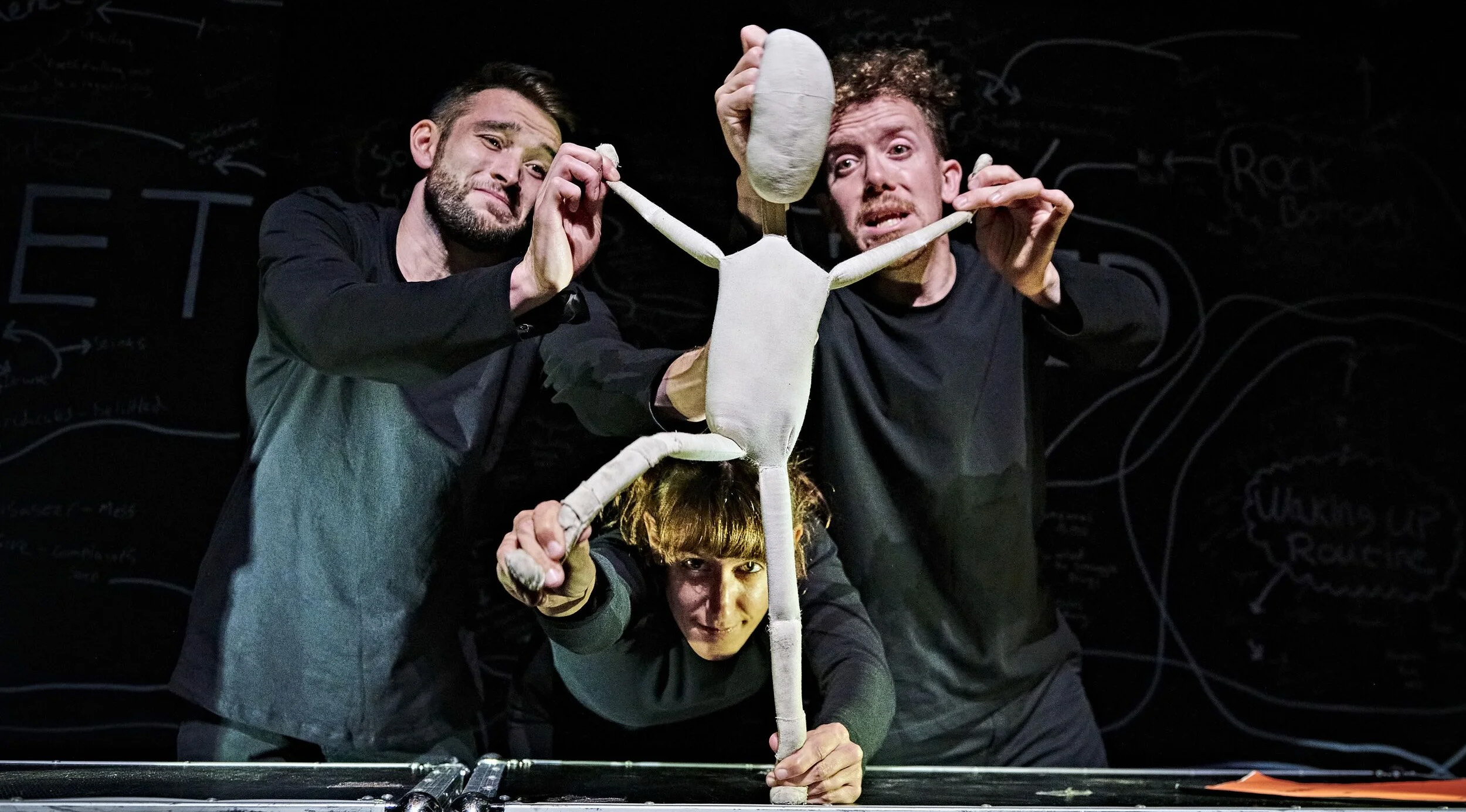 Hijinx Theatre: Meet Fred