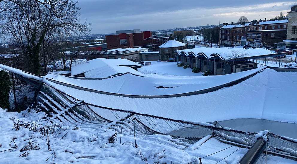 Dudley Zoo looking for donations after storm damage