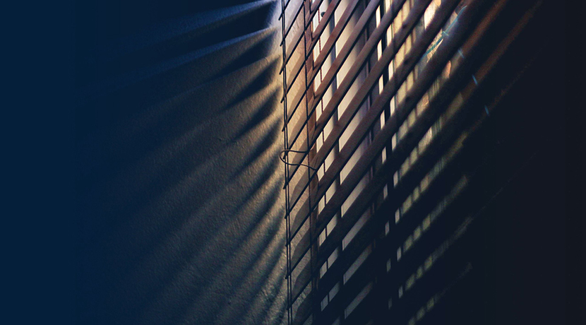 Orchestra of the Swan: Light And Shadow