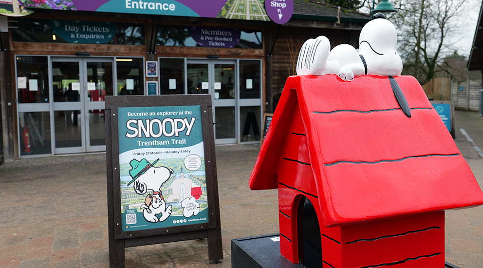 New Snoopy trail to open at Trentham Gardens this spring