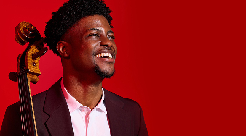 Orchestra Of The Swan