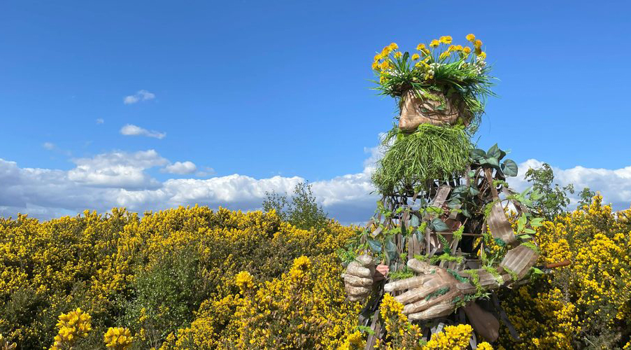 Walk of the Dandelion