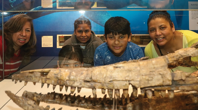 Fossil Fun Weekend 