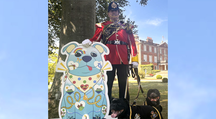 Join The Big Staffy Stroll at Weston Park this July