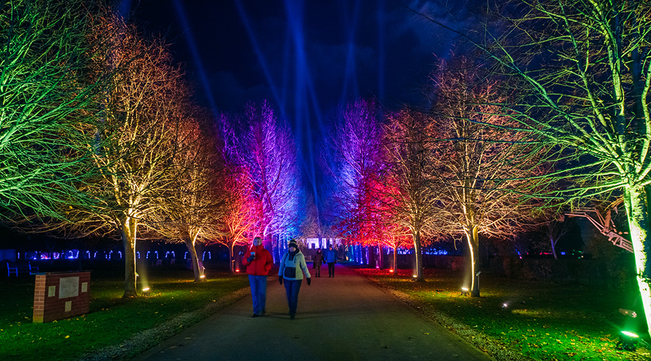 ‘Illuminated’ winter light trail returning to The National Memorial Arboretum