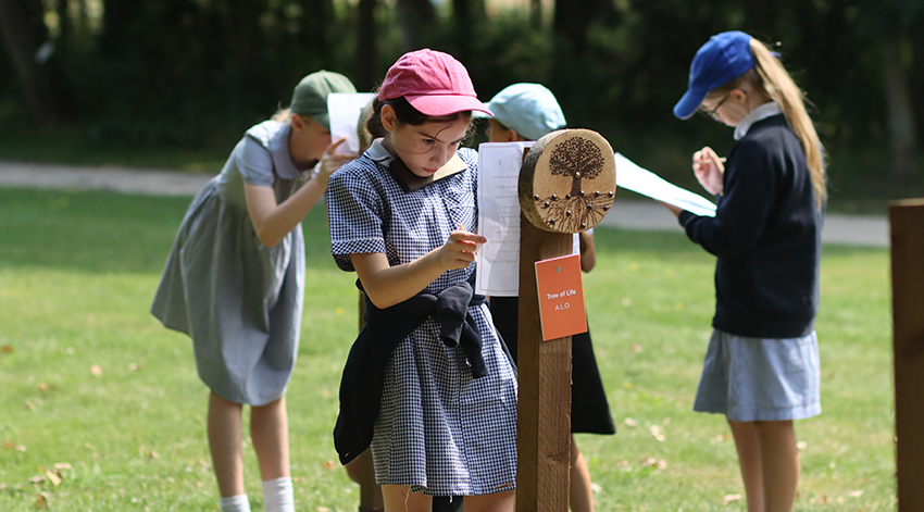 Green Spaces, Shared Places exhibition opens at National Memorial Arboretum
