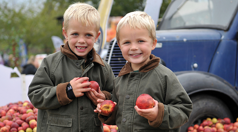 Malvern Autumn Show