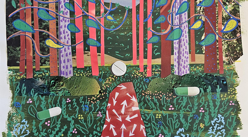 Shrewsbury Museum launches new Rooted in Recovery exhibition