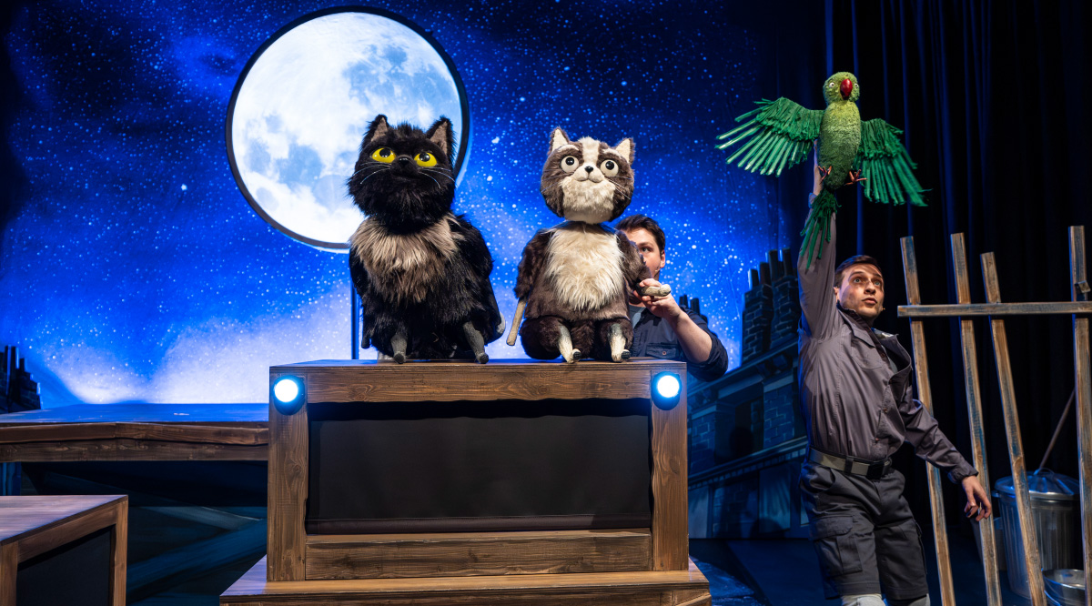 A family ticket to Toto the Ninja Cat and the Great Snake Escape