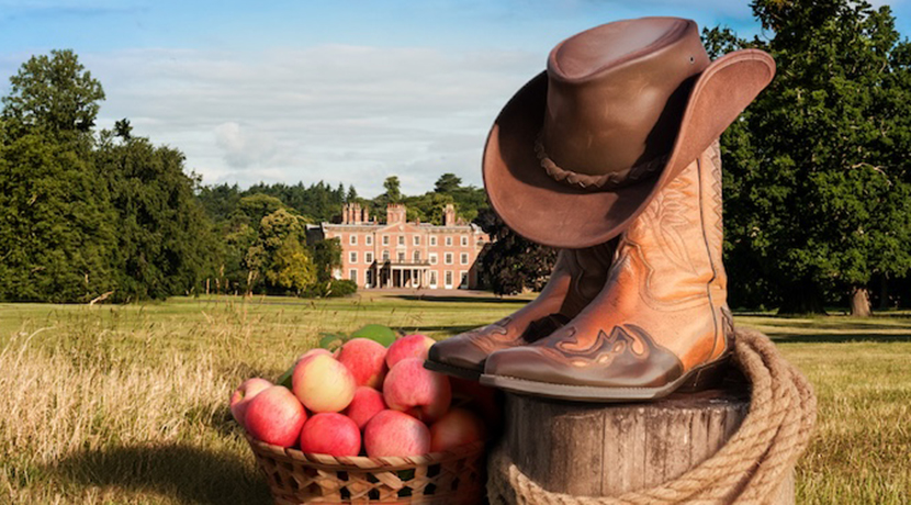 Harvest Hoedown