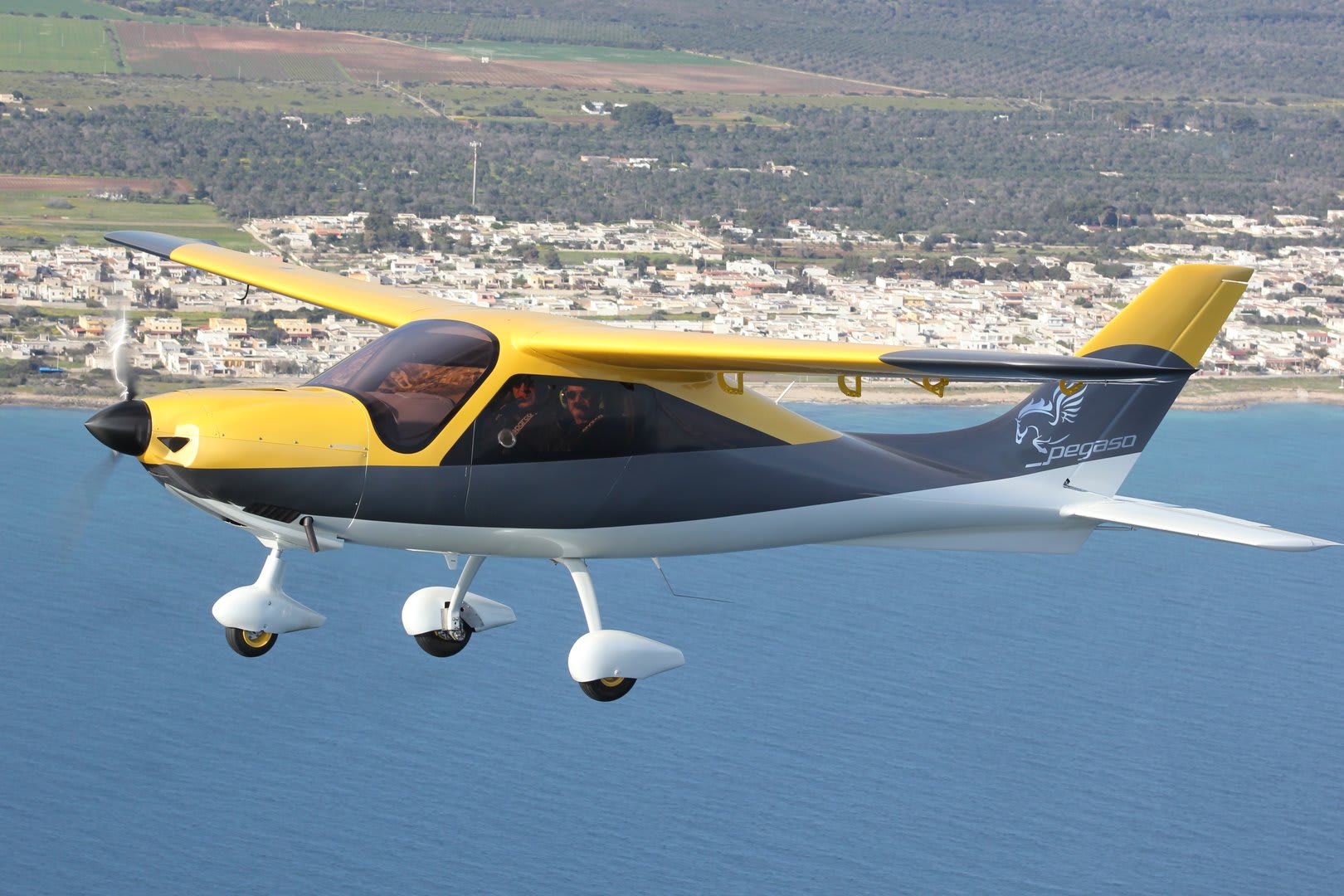 2022 promecc pegaso, photo 4