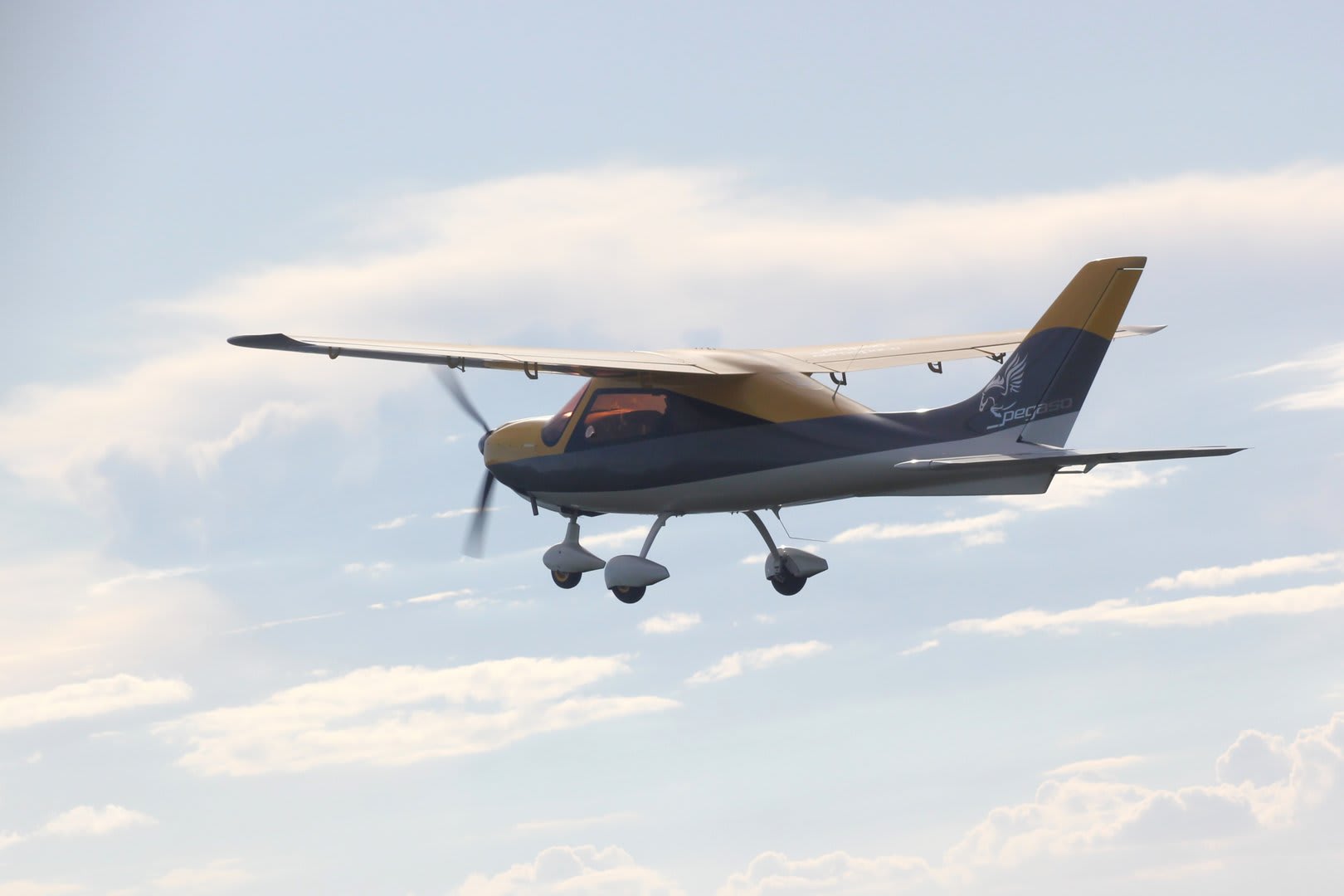 2022 promecc pegaso, photo 5