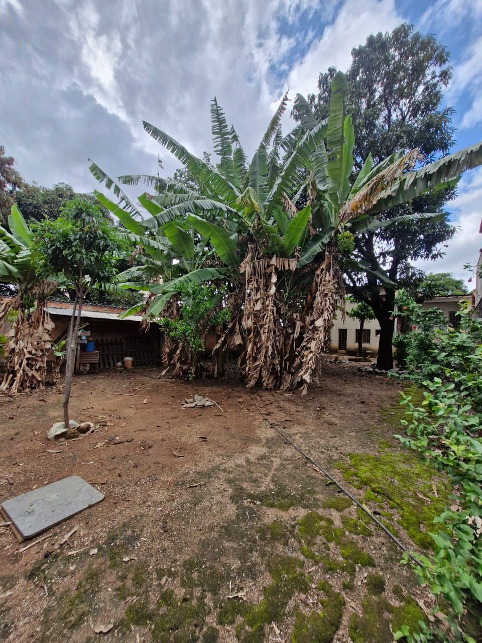 Foto 5 de Casa pra reforma no bairro Serrano