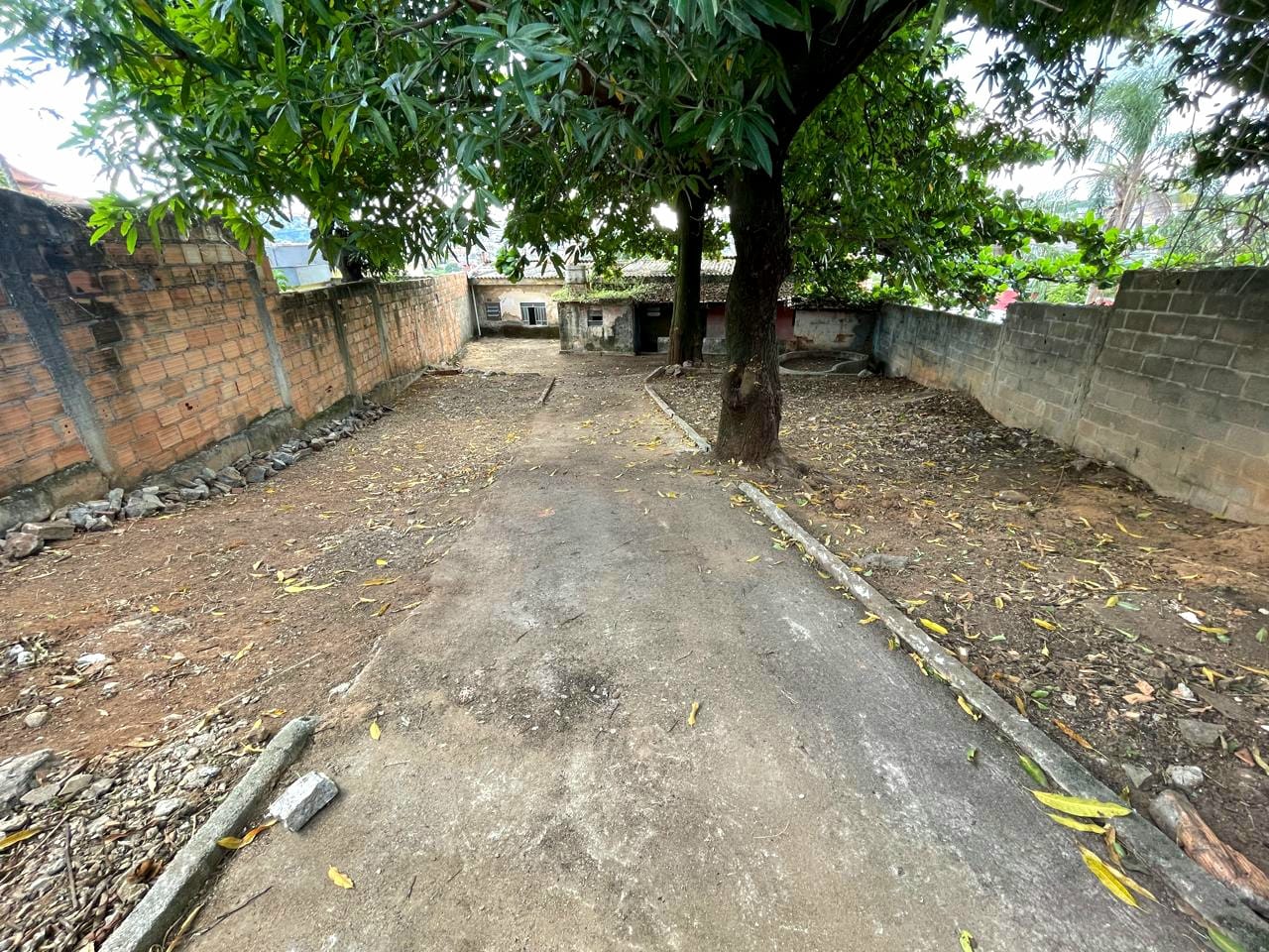 Foto 4 de Excelente lote no bairro Novo Glória.