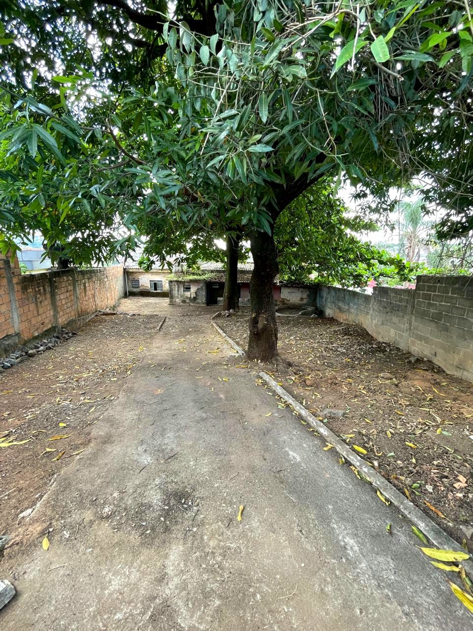 Foto 5 de Excelente lote no bairro Novo Glória.