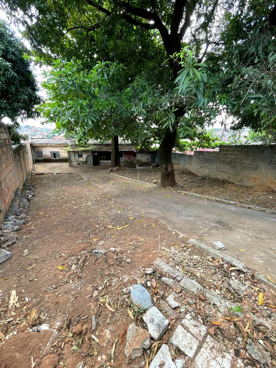 Foto 3 de Excelente lote no bairro Novo Glória.