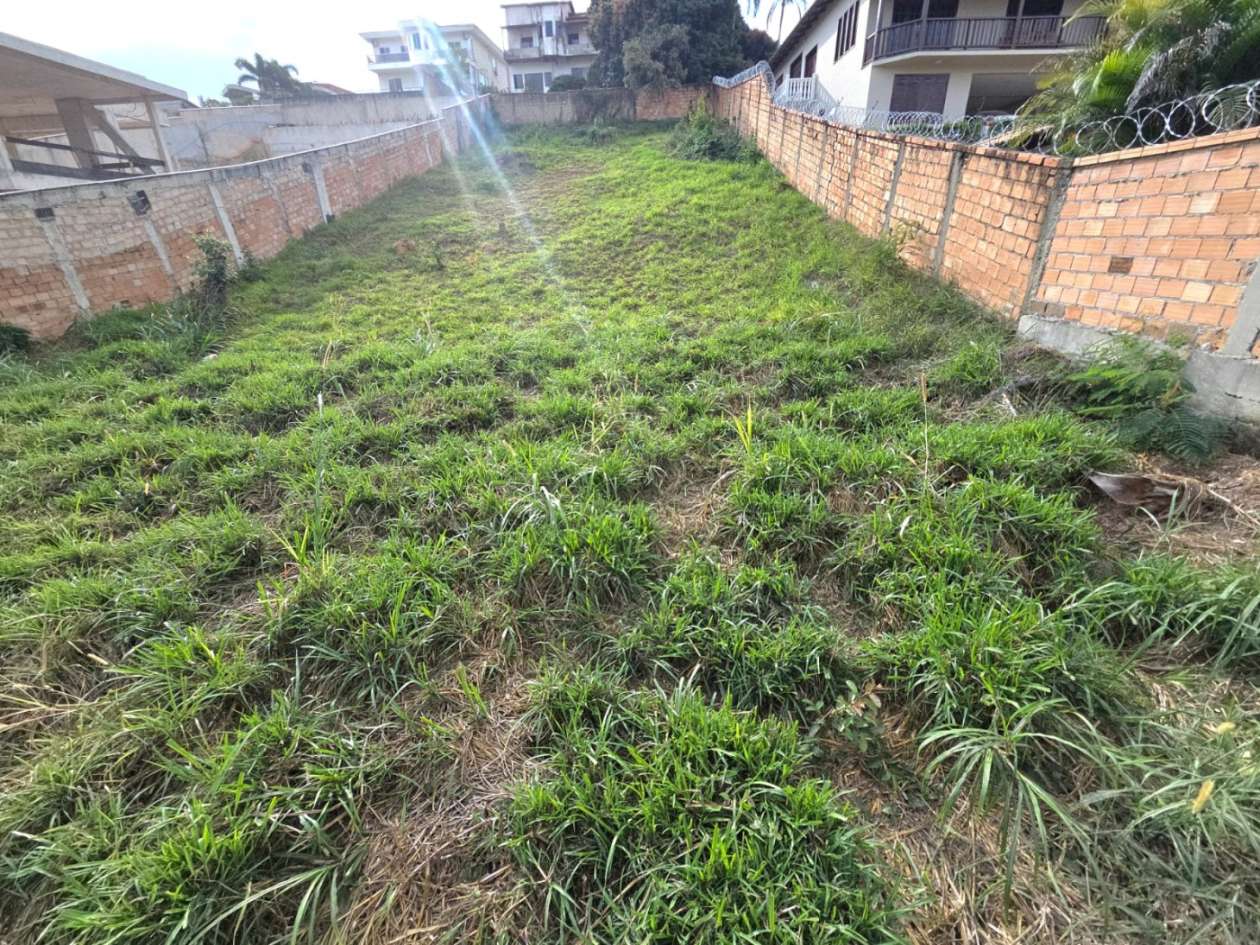 Foto 2 de Excelente lote no bairro Trevo.