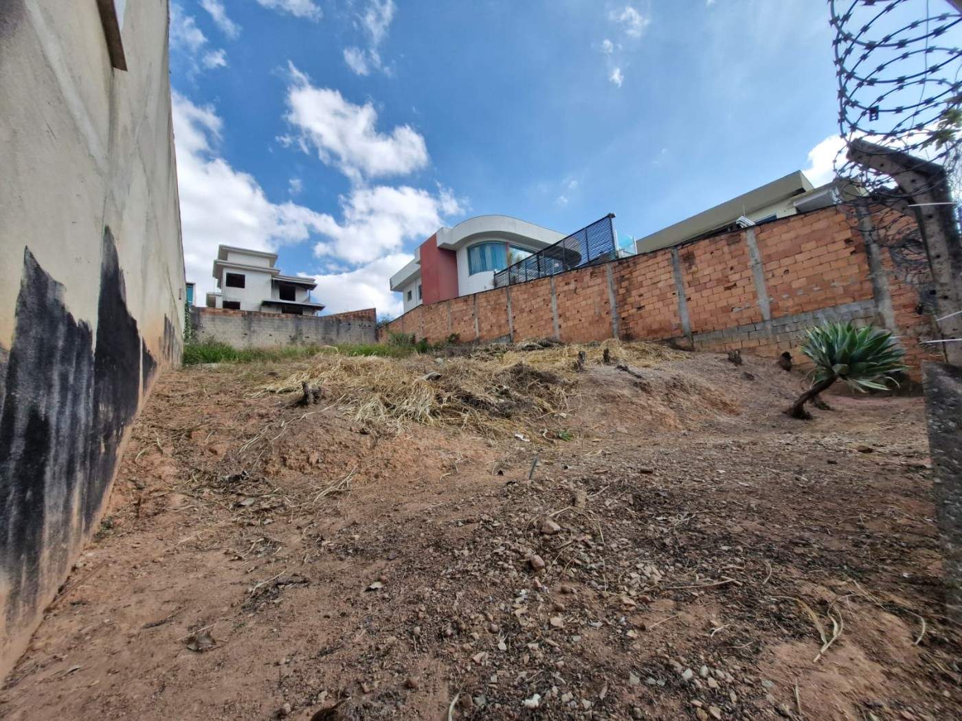 Foto principal de Excelente lote no bairro Cabral.