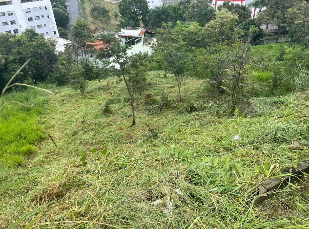 Foto principal de Excelente LOTE no bairro Manacas.