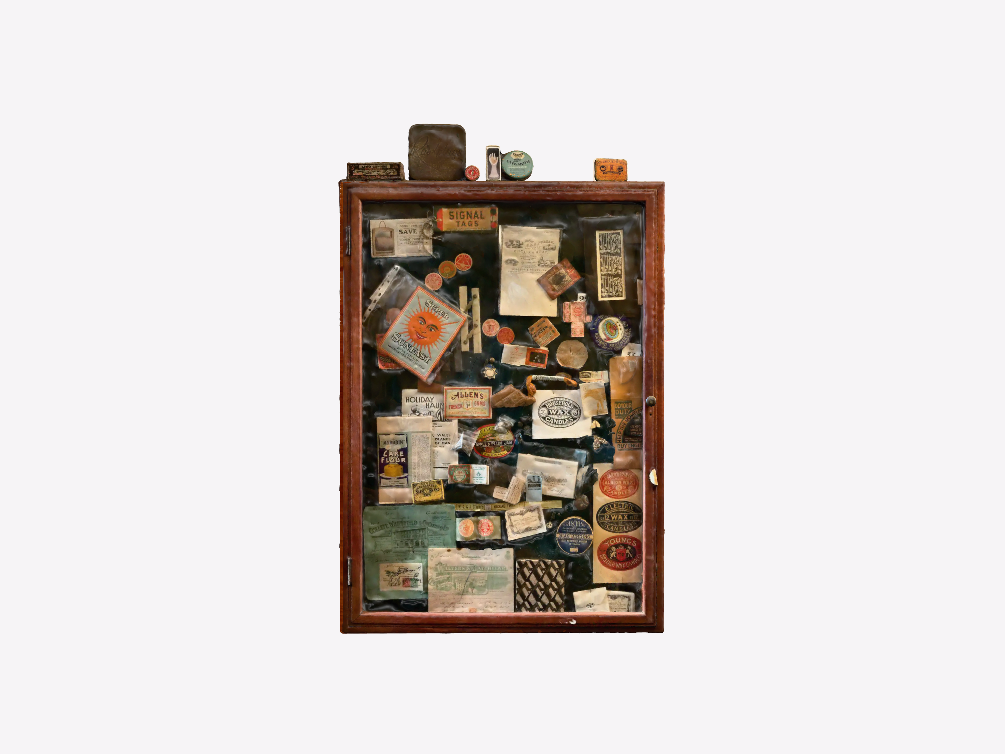 Baldwin Spencer render 2