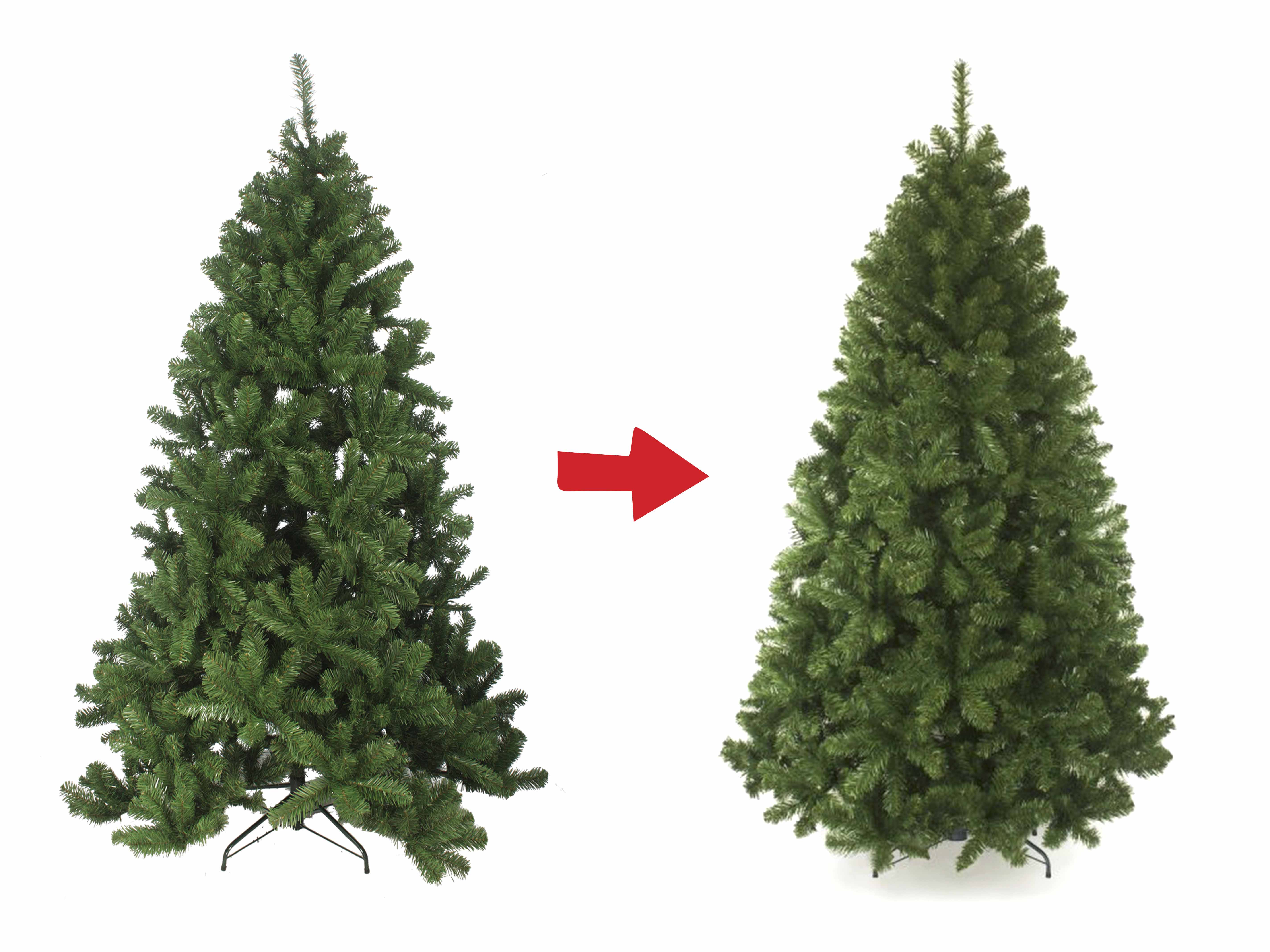 How to Shape Your Christmas Tree