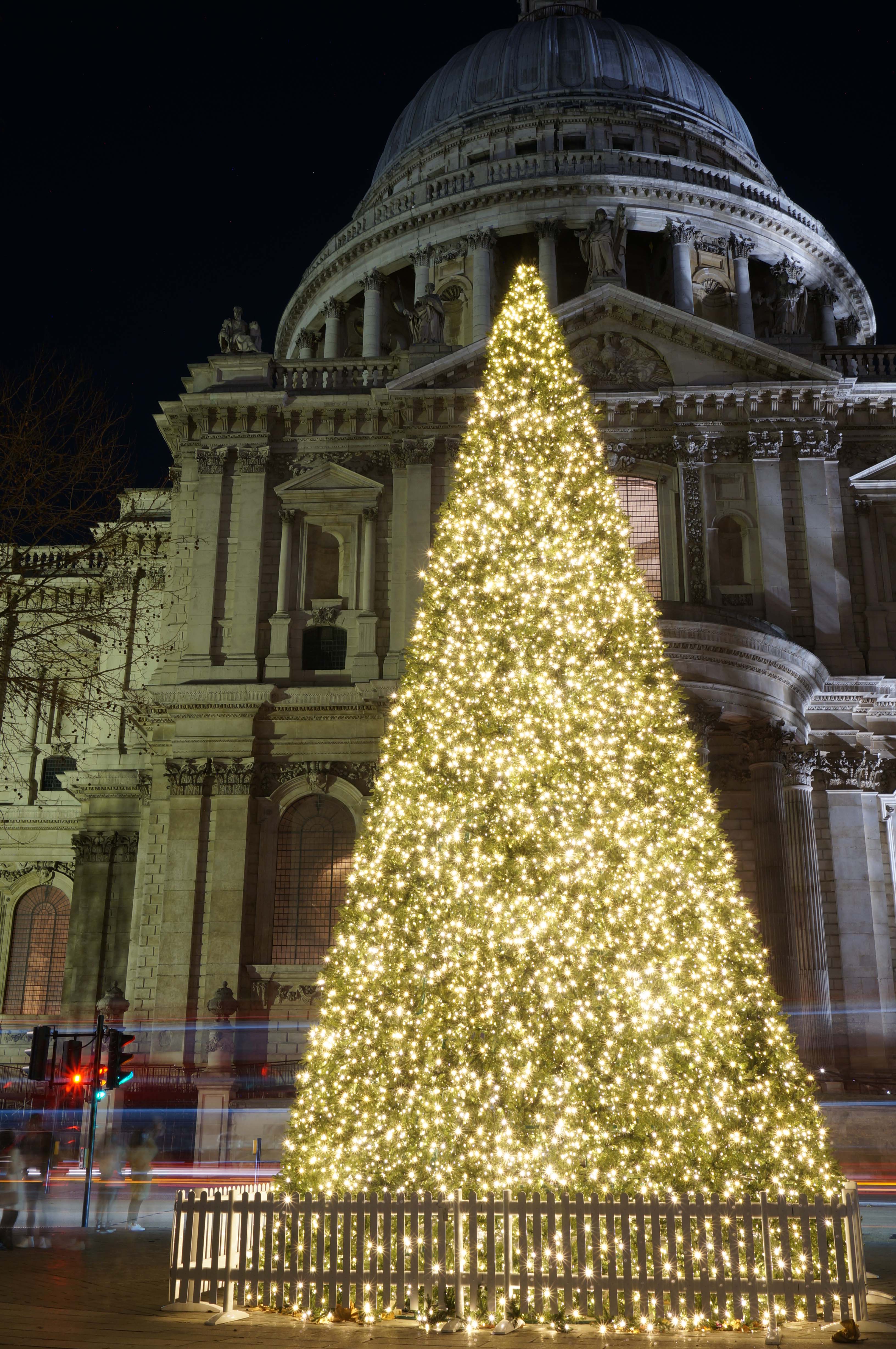 large outdoor tree christmas lights