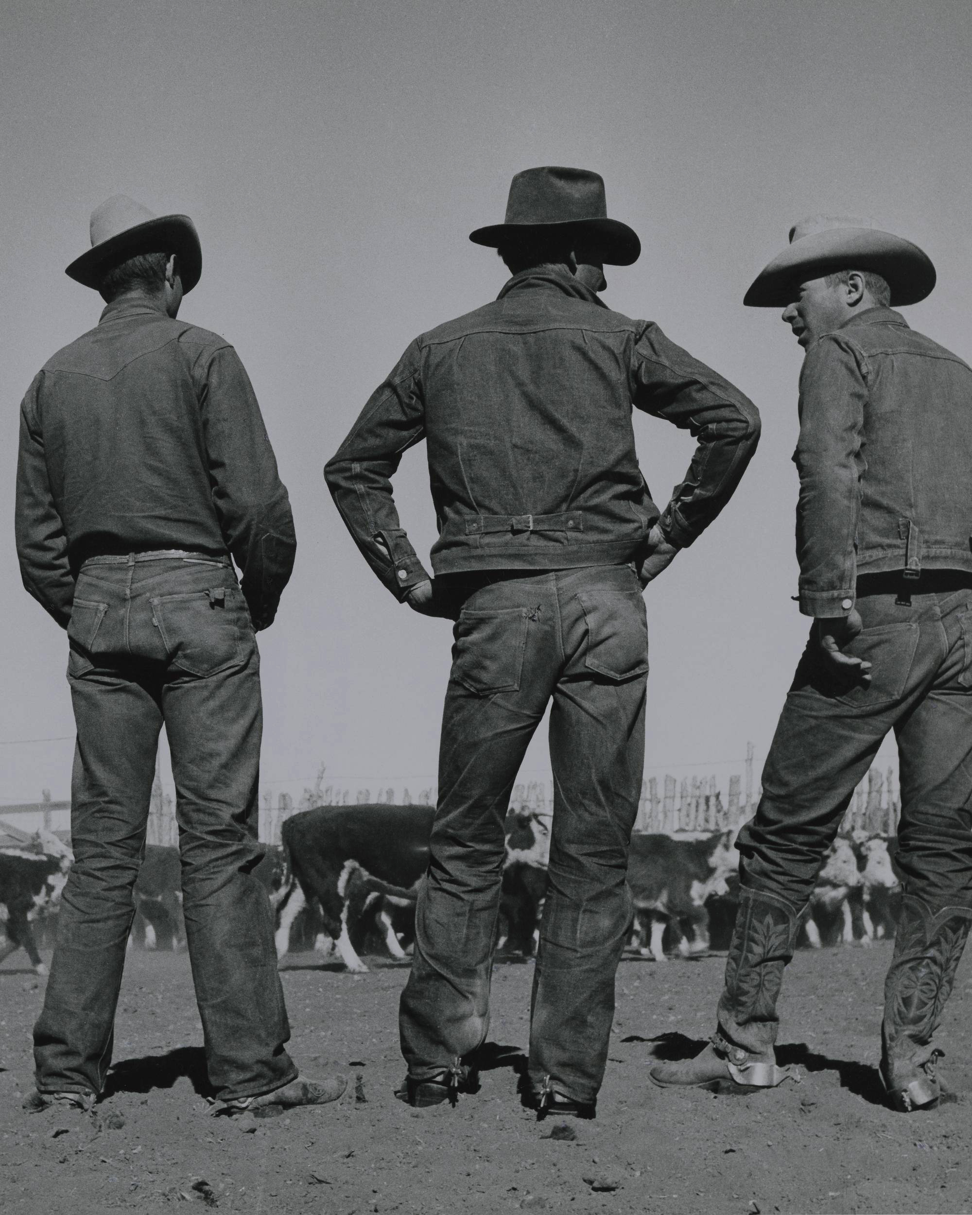 Cowboys in denim attire.jpeg