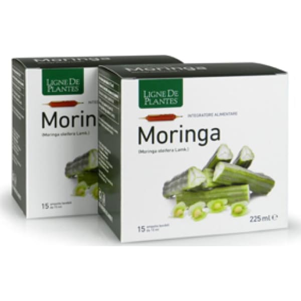 Ligne de Plantes Moringa 15 Ampolle
