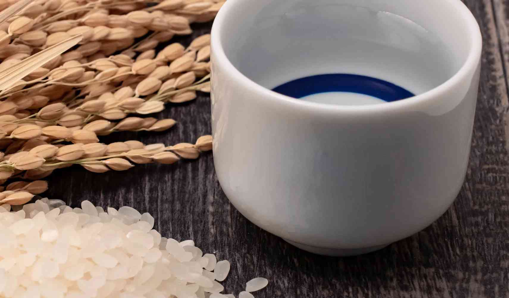 Sake Tasting : Shimamoto Shuzojo