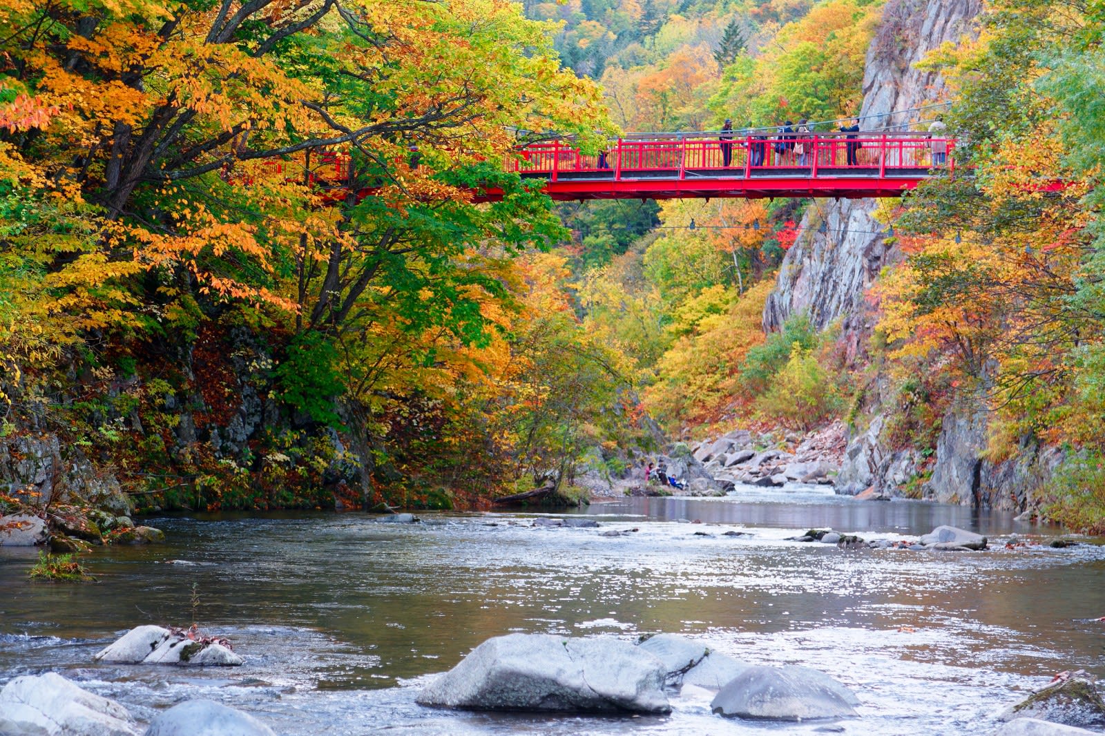 Best Things to Do in Hokkaido: Top Attractions & Dining Guide