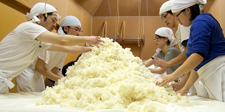 Nanbu Bijin Sake Brewery Tasting Tour | Ninohe, Iwate