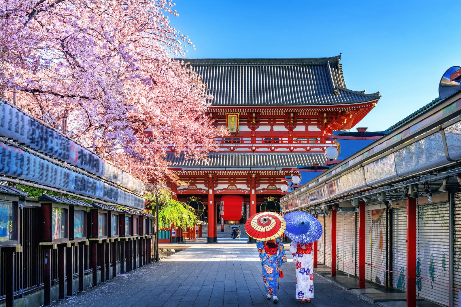 Best Things to Do in Tokyo: Top Attractions & Dining Guide
