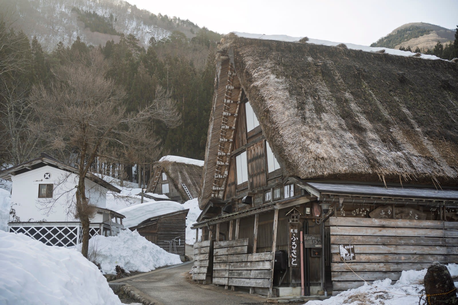 Gifu
