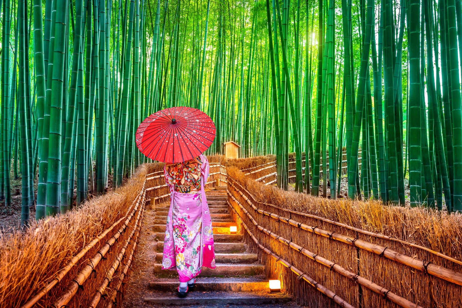 Best Things to Do in Kyoto: Top Attractions & Dining Guide