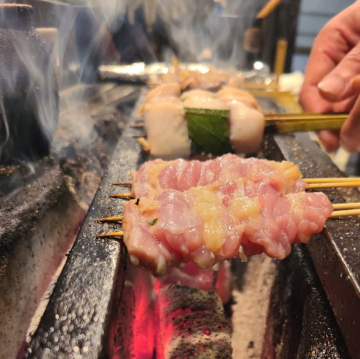 Sumibi Yakitori Tsugumi Restaurant Reservations | Kumamoto