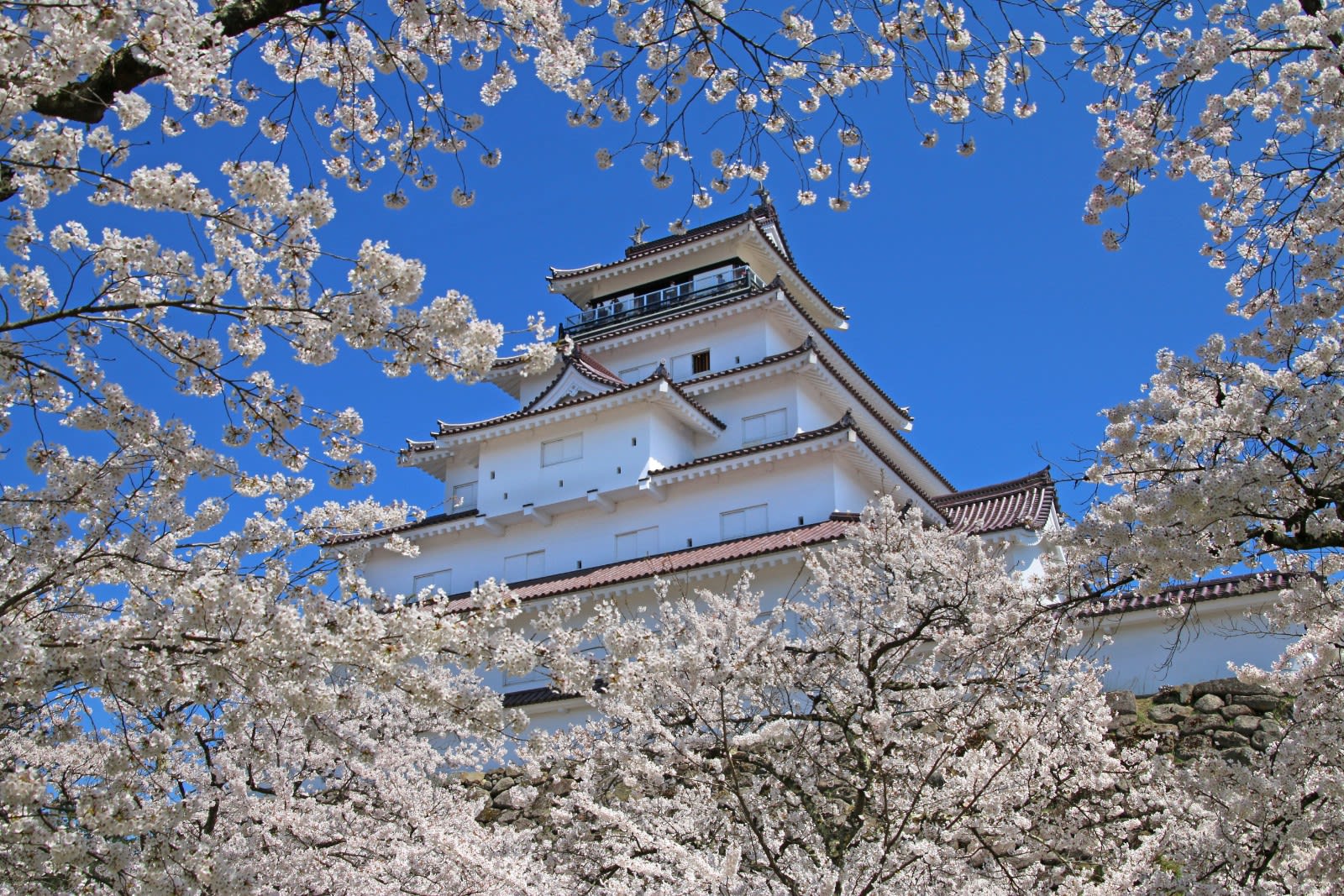 Fukushima