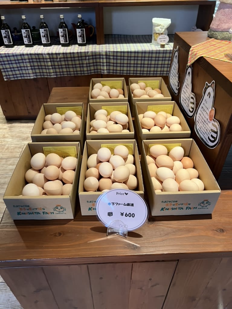 Kinoshita Farm Three Eggs Cafe Reservations | Shimonoseki