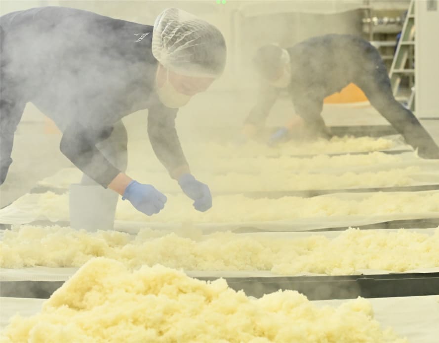 Kikunotsukasa Sake Brewery Tasting Tour | Shizukuishi, Iwate