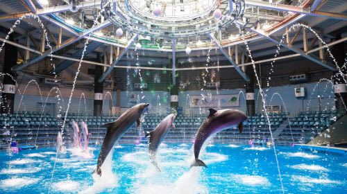 Admission Ticket for Maxell Aqua Park Shinagawa in Tokyo