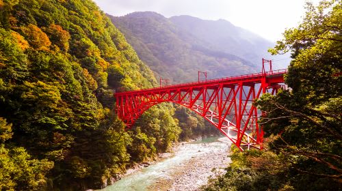 Admission Ticket for Kurobe Gorge Sightseeing Train in Unazuki, Toyama