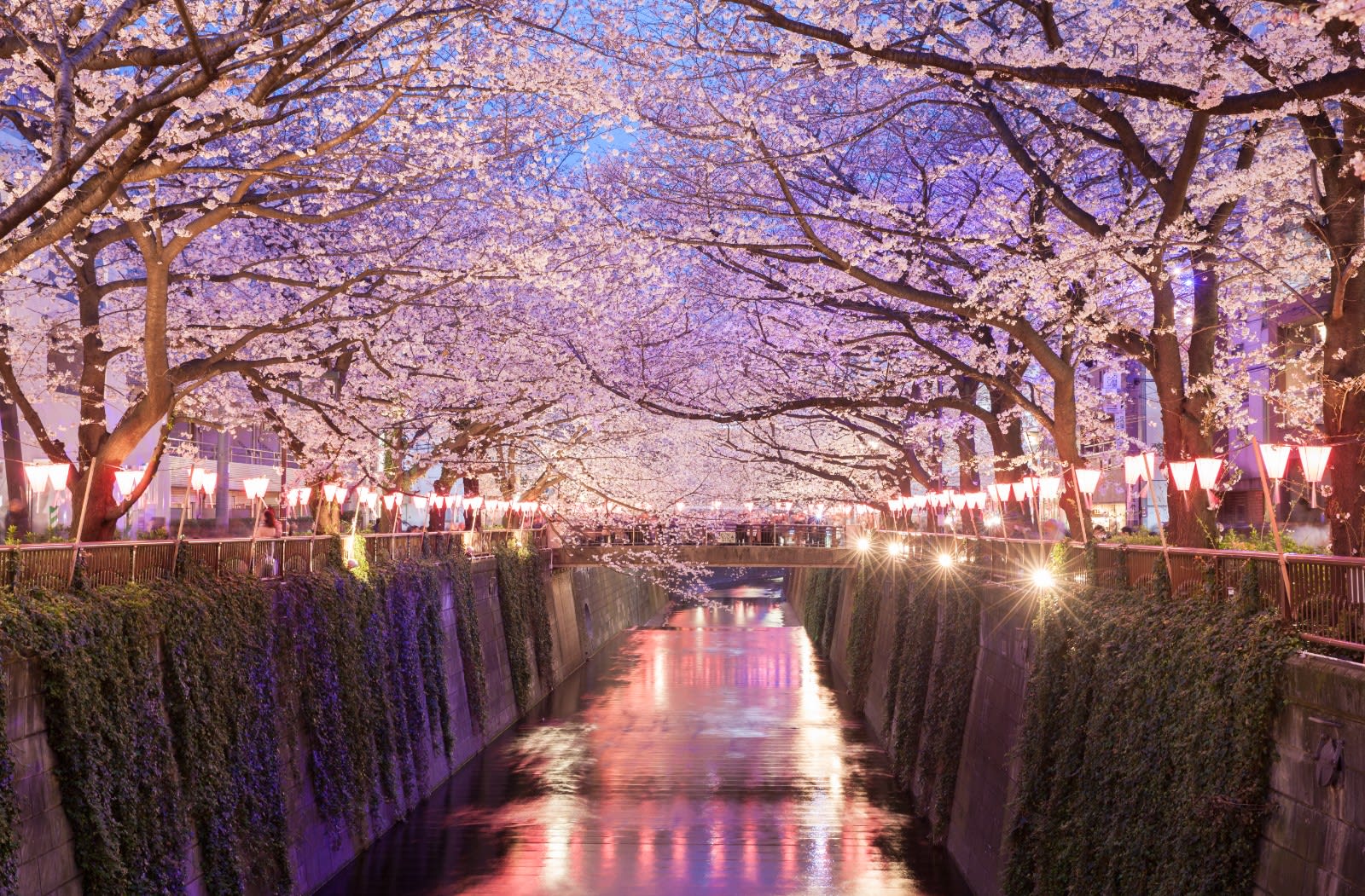 Nakameguro