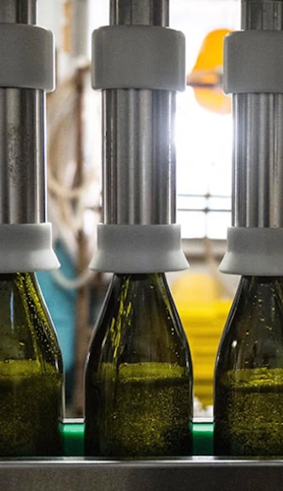 Kametaya Sake Brewery Tasting Tour | Matsumoto, Nagano